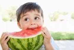 宝宝吃蚂蚁瓜好吗,宝宝食用蚂蚁瓜的益处与注意事项