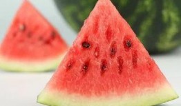 西瓜特效吃瓜,夏日清凉新体验