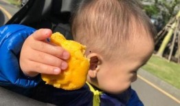 宝宝吃蚂蚁瓜好吗,宝宝食用蚂蚁瓜的益处与注意事项