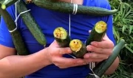 精神小伙吃瓜qq,揭秘网络热点的背后故事