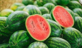 瓜弟的qq吃瓜群,揭秘网络社交圈的“瓜田”盛景