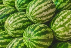 找瓜吃是什么,揭秘“找瓜吃”的独特魅力