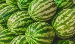 找瓜吃是什么,揭秘“找瓜吃”的独特魅力