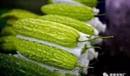 吃屋瓜减肥吗,揭秘吃屋瓜的神奇瘦身效果