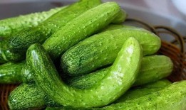 豪门世家吃瓜日常,揭秘权贵家族的吃瓜日常