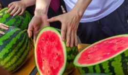 常州大学最新吃瓜,最新“吃瓜”事件揭秘