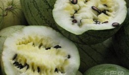怀孕吃籽瓜,籽瓜助力健康孕育之旅