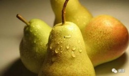 呆梨塌吃瓜,揭秘娱乐圈的甜蜜与苦涩