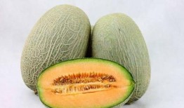 吃哈密瓜严重尿频,揭秘甜蜜背后的健康警示