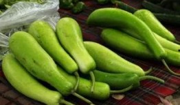 瓠瓜怎么吃最好,这样吃最营养