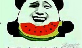 各种吃瓜啥意思,网络热词背后的社会现象