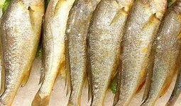 小黄鱼吃瓜,一场与瓜果的美食邂逅