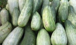 吃酥瓜好处,滋养身心，健康生活新选择