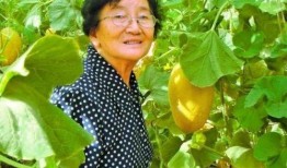 王家宝吃瓜,揭秘娱乐圈幕后故事