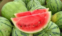 找瓜吃是什么,揭秘“找瓜吃”的独特魅力