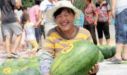 沙河老师吃瓜事件,网络热议背后的真相与反思