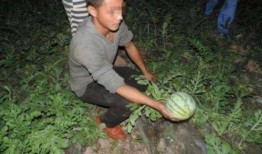 吃瓜武汉女子裸体,真相与争议的漩涡