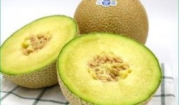 小孩吃哈密瓜动画片,动画中的甜蜜时光