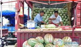 常州大学最新吃瓜,最新“吃瓜”事件揭秘