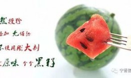 宁晋吃瓜最新,揭秘当地热门事件背后的真相与笑料