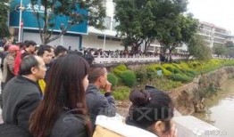 盘龙区吃瓜群众,揭秘社区生活百态