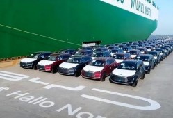 郑州比亚迪工厂吃瓜,揭秘背后的真相与反思