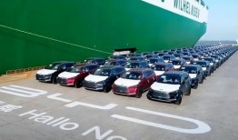 郑州比亚迪工厂吃瓜,揭秘背后的真相与反思