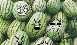 吃瓜群众摆件diy,吃瓜群众摆件DIY，打造个性家居新风尚