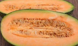 国外人吃哈密瓜吗,国外人士的食用体验与评价