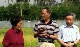 吃瓜主任,揭秘娱乐圈幕后真相，带你领略明星们的真实生活