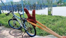 吃瓜群众看军坡,吃瓜群众眼中的民俗狂欢