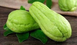 六六吃瓜合肥,揭秘合肥美食背后的故事