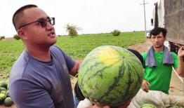 北京最新吃瓜新闻,最新吃瓜新闻揭秘，一事件引发网友热议！”