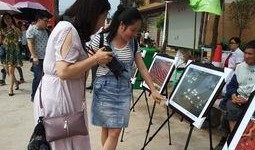 古镇吃瓜群众事件,一场引发热议的街头冲突