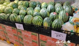 吃瓜群众摆件diy,吃瓜群众摆件DIY，打造个性家居新风尚