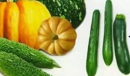 吃瓜不吃瓜,揭秘娱乐圈背后的真相与争议