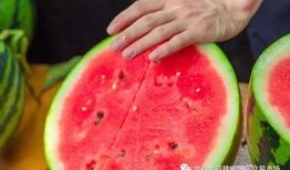 常州大学最新吃瓜,最新“吃瓜”事件揭秘