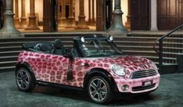 带你吃瓜宝马mini,带你领略汽车界的“吃瓜”盛宴