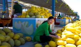 瓜州到哪吃瓜,探寻最佳吃瓜胜地