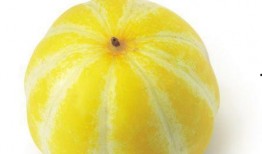 永久吃瓜,永久吃瓜，见证明星幕后风云