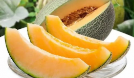 瓜州到哪吃瓜,探寻最佳吃瓜胜地