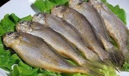 小黄鱼吃瓜,一场与瓜果的美食邂逅