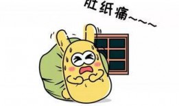 吃瓜群众123号,揭秘网络红人的幕后故事