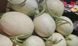 吃瓜的小苏,揭秘娱乐圈幕后故事