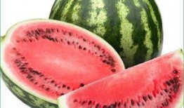 胃炎能否吃瓠瓜,胃炎患者适宜食用瓠瓜的饮食指南