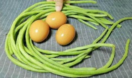 蛋仔派对吃豆角瓜,吃豆角瓜的趣味冒险之旅