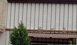 吃瓜徽州宴,吃瓜者的美食之旅