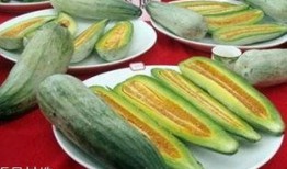 吃酥瓜好处,滋养身心，健康生活新选择