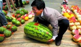 深圳宝安疫情吃瓜,吃瓜群众视角下的防疫风云