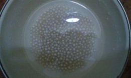 喝完奶粉吃瓜,宝宝营养新体验